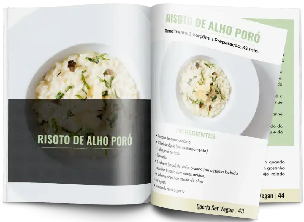 ebook-receitas-veganas-faceis-baratas-queria-ser-vegan-blog-melhore-seus-dias-loja-paginas