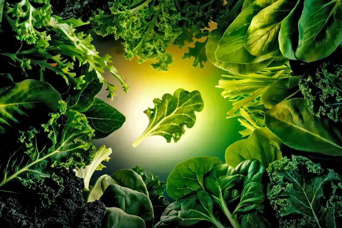 alimentacao-7-alimentos-saudaveis-dieta-diaria-blog-melhore-seus-dias-imagem-02