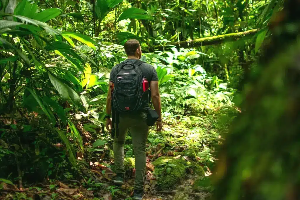 plantas-e-animais-o-que-e-ecoturismo-e-sua-importancia-blog-melhore-seus-dias-imagem-03