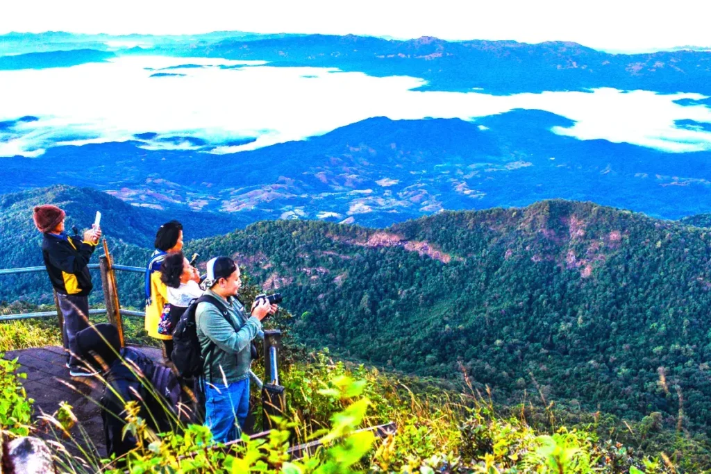 plantas-e-animais-o-que-e-ecoturismo-e-sua-importancia-blog-melhore-seus-dias-imagem-04