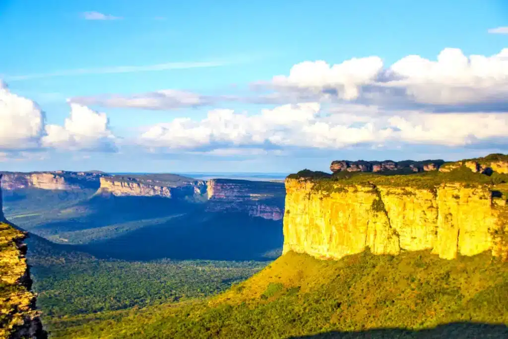 plantas-e-animais-o-que-e-ecoturismo-e-sua-importancia-chapada-diamantina-blog-melhore-seus-dias-imagem-07